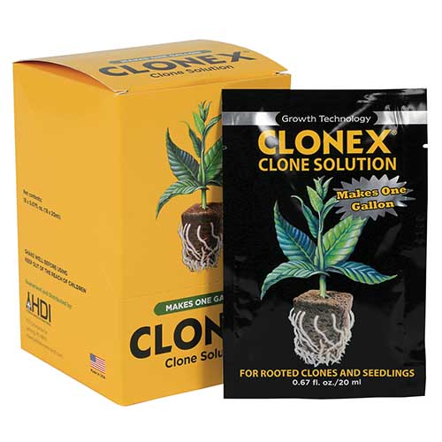 clonex solution near me
