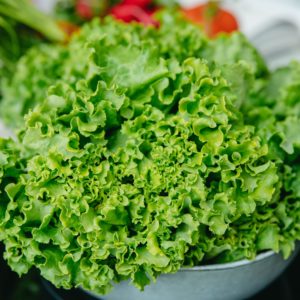 8-Week Salad Program