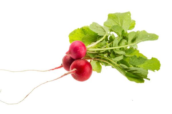 Radish